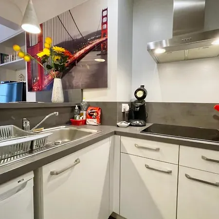 Nice T2 In Hyper Centre Recently Renovated #F5Bis Apartamento Grenoble
