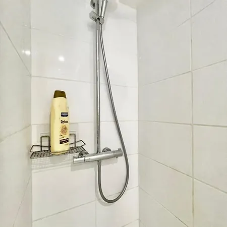 Nice T2 In Hyper Centre Recently Renovated #F5Bis Apartment Grenoble